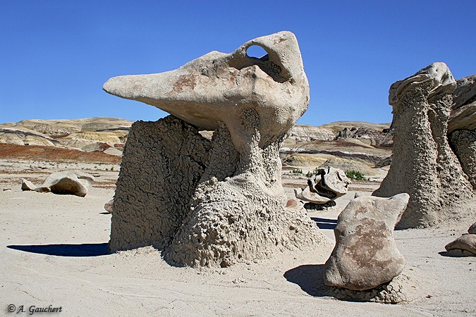 Saurian Skull Hoodoo